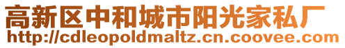 高新區中和城市陽光家私廠