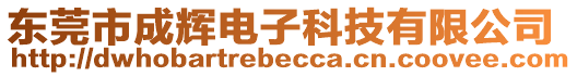 東莞市成輝電子科技有限公司