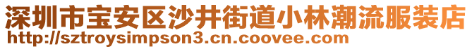 深圳市寶安區(qū)沙井街道小林潮流服裝店