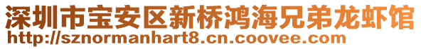 深圳市寶安區(qū)新橋鴻海兄弟龍蝦館