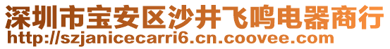 深圳市寶安區(qū)沙井飛鳴電器商行