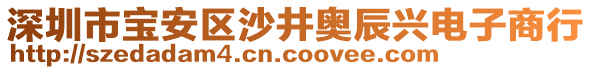 深圳市寶安區(qū)沙井奧辰興電子商行