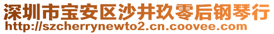 深圳市寶安區(qū)沙井玖零后鋼琴行