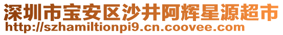 深圳市寶安區(qū)沙井阿輝星源超市