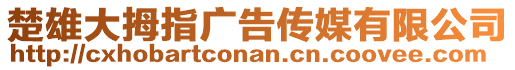 楚雄大拇指廣告?zhèn)髅接邢薰? style=