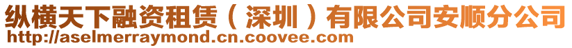 縱橫天下融資租賃（深圳）有限公司安順分公司