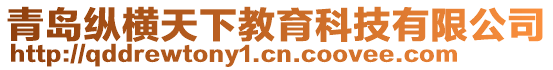 青島縱橫天下教育科技有限公司