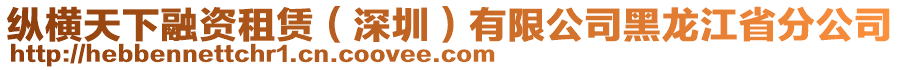 縱橫天下融資租賃（深圳）有限公司黑龍江省分公司