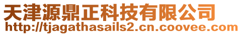 天津源鼎正科技有限公司