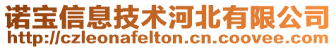 诺宝信息技术河北有限公司