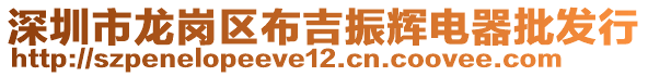 深圳市龍崗區(qū)布吉振輝電器批發(fā)行