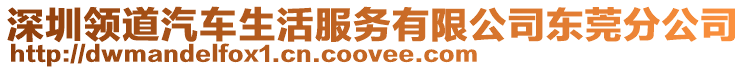 深圳領(lǐng)道汽車生活服務(wù)有限公司東莞分公司