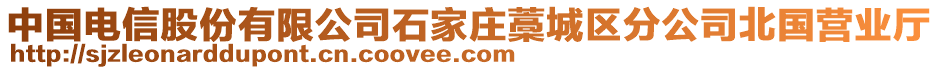 中國電信股份有限公司石家莊藁城區(qū)分公司北國營業(yè)廳