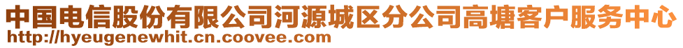 中國電信股份有限公司河源城區(qū)分公司高塘客戶服務(wù)中心