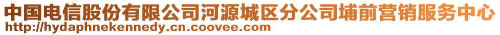 中國電信股份有限公司河源城區(qū)分公司埔前營銷服務中心