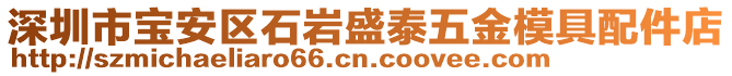 深圳市寶安區(qū)石巖盛泰五金模具配件店