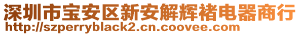 深圳市寶安區(qū)新安解輝褚電器商行