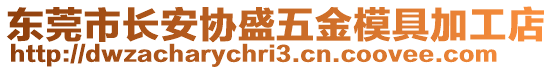 東莞市長安協(xié)盛五金模具加工店