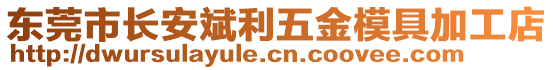 東莞市長安斌利五金模具加工店