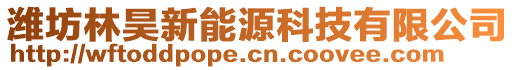 濰坊林昊新能源科技有限公司