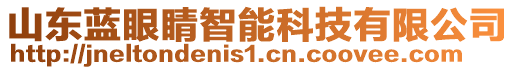 山東藍(lán)眼睛智能科技有限公司