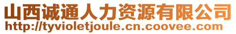 山西誠通人力資源有限公司