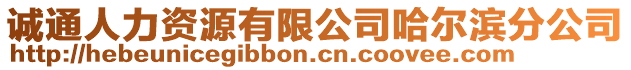 誠通人力資源有限公司哈爾濱分公司