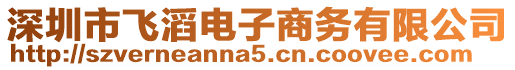 深圳市飛滔電子商務有限公司