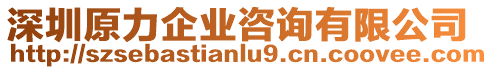 深圳原力企業咨詢有限公司