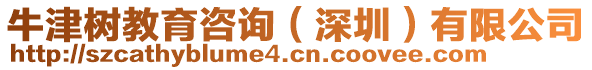 牛津樹(shù)教育咨詢(xún)(深圳)有限公司