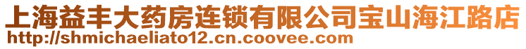 上海益豐大藥房連鎖有限公司寶山海江路店