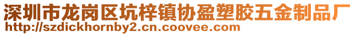 深圳市龍崗區坑梓鎮協盈塑膠五金制品廠