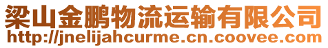 梁山金鵬物流運(yùn)輸有限公司