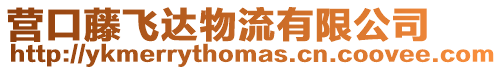 營口藤飛達物流有限公司