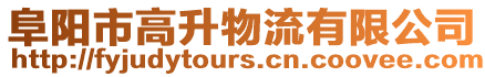 阜陽市高升物流有限公司