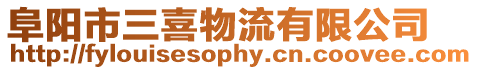 阜陽市三喜物流有限公司