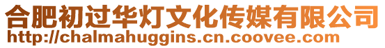 合肥初過華燈文化傳媒有限公司