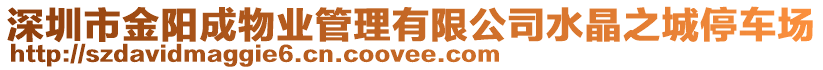 深圳市金陽成物業管理有限公司水晶之城停車場