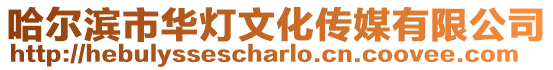 哈爾濱市華燈文化傳媒有限公司