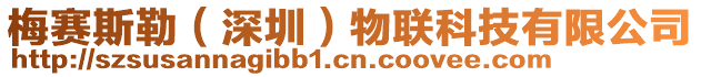 梅賽斯勒(深圳)物聯科技有限公司