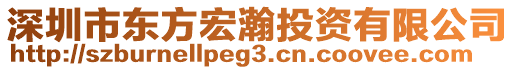 深圳市東方宏瀚投資有限公司