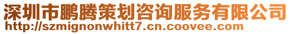 深圳市鵬騰策劃咨詢服務有限公司