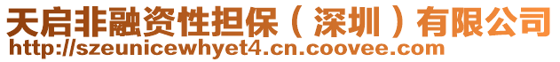 天啟非融資性擔保(深圳)有限公司