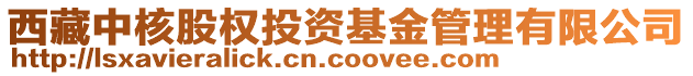 西藏中核股權(quán)投資基金管理有限公司