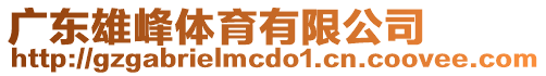 廣東雄峰體育有限公司