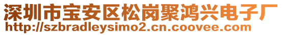 深圳市寶安區(qū)松崗聚鴻興電子廠