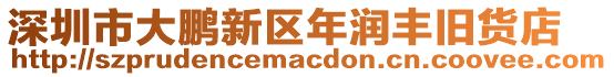 深圳市大鵬新區(qū)年潤(rùn)豐舊貨店