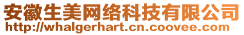 安徽生美網絡科技有限公司