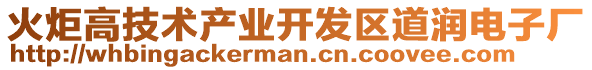火炬高技術(shù)產(chǎn)業(yè)開(kāi)發(fā)區(qū)道潤(rùn)電子廠