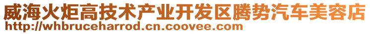 威?；鹁娓呒夹g產業(yè)開發(fā)區(qū)騰勢汽車美容店
